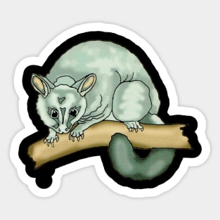 Possum Sticker